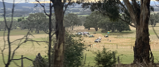 Barwon Timber Partners with 15 Trees to Plant 500 Trees.