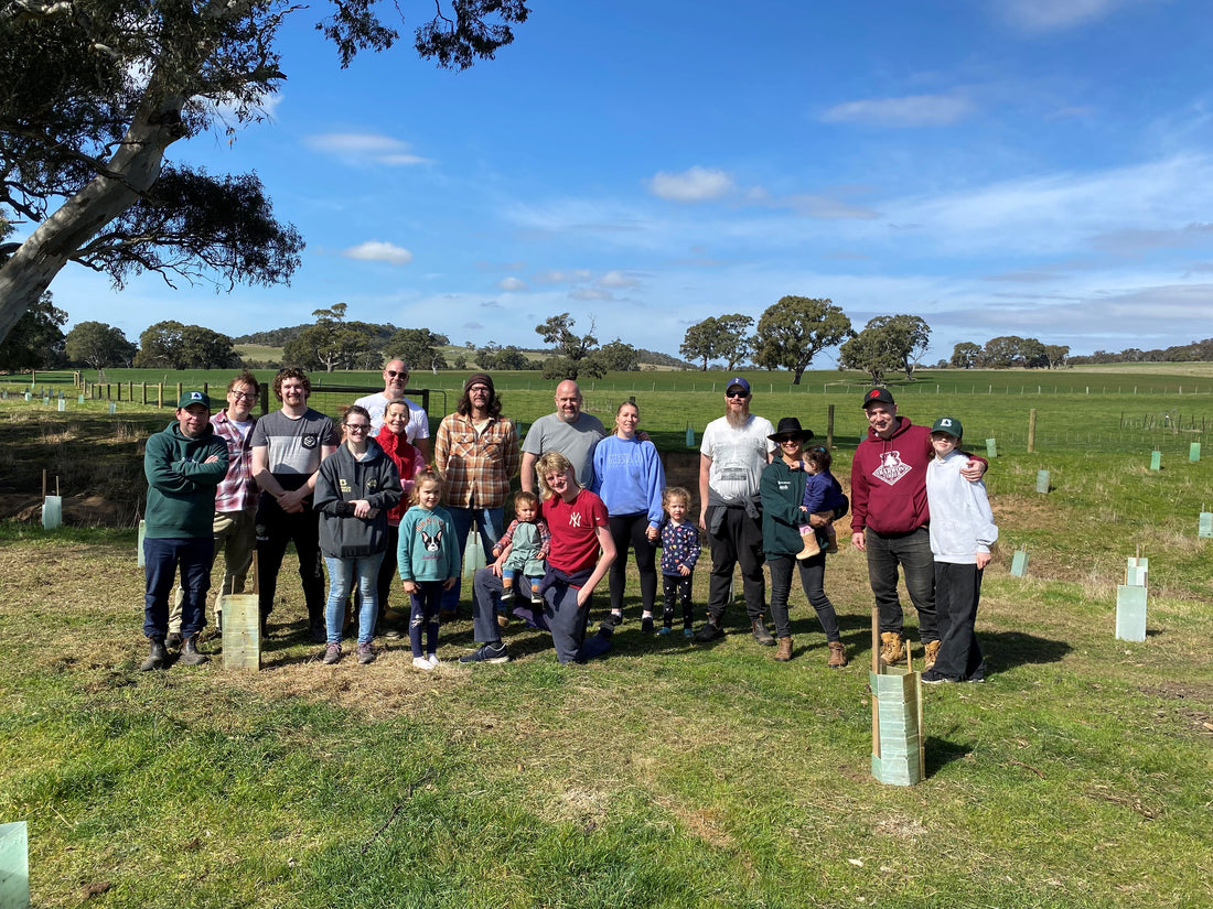 Barwon Timber's Tree Planting Adventure in Balliang